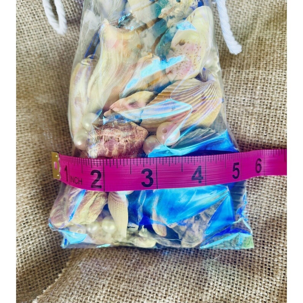 Gift Bag Of Beautiful Seashells Sourced From Coastal SE Georgia And NE Florida - Picture 8 of 16